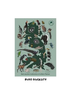 Budo Collection Postcard