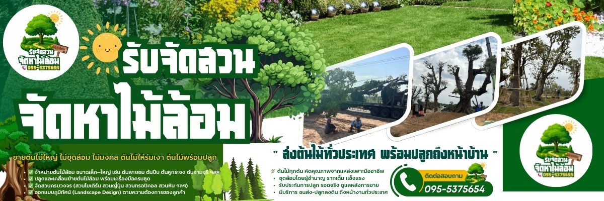 ต้นไม้ล้อมรับจัดสวน โทร 095-5375654