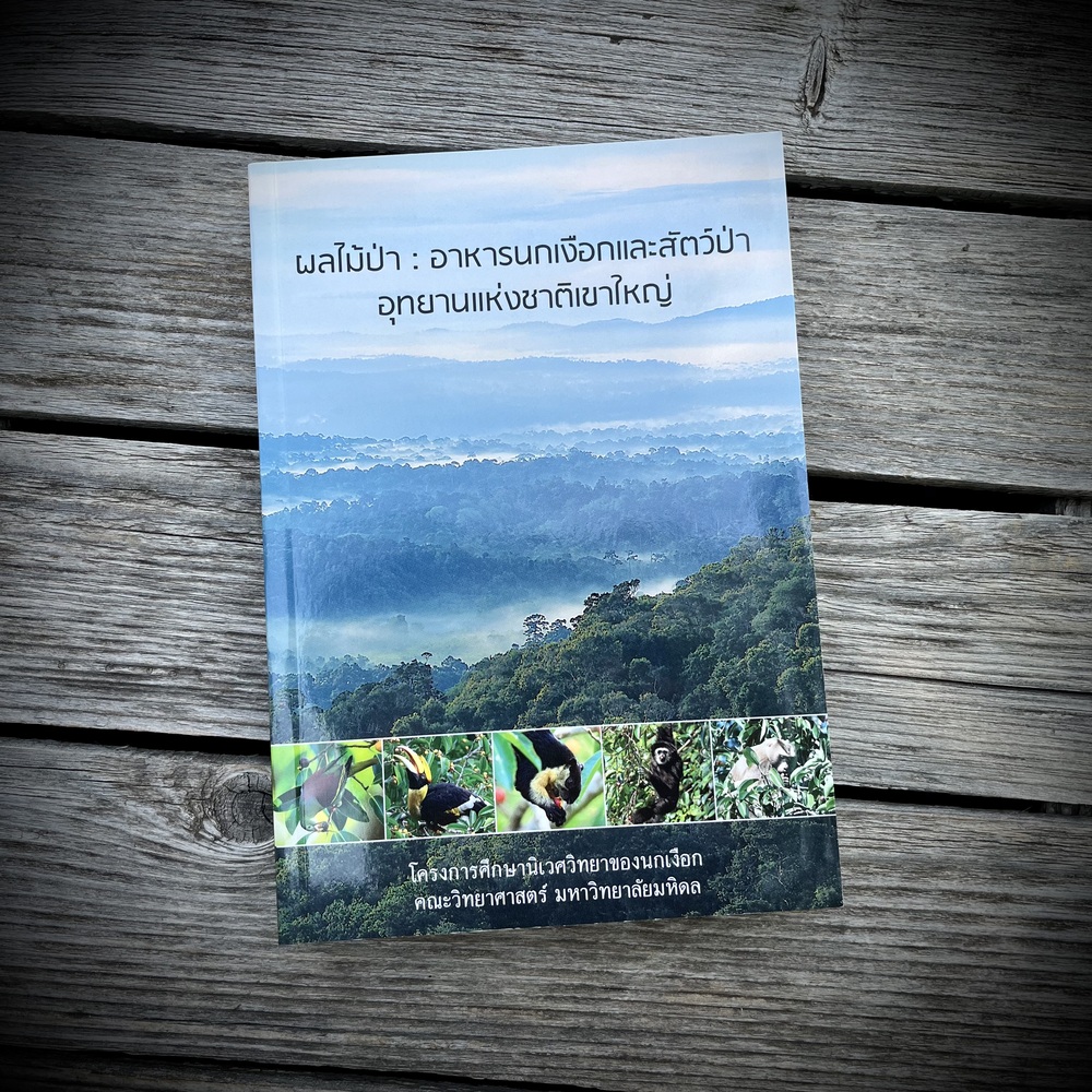 ผลไม้ป่า อาหารนกเงือกและสัตว์ป่า อุทยานแห่งชาติเขาใหญ่