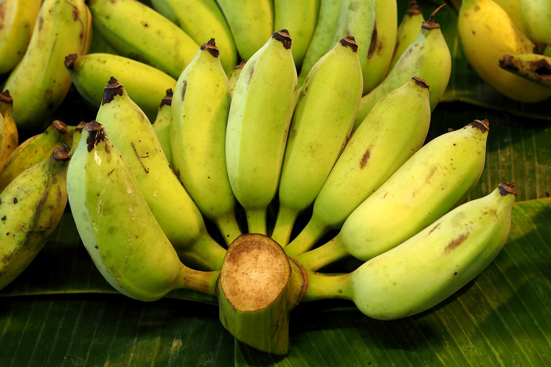 Banana Sunday Z กล้วยตาก สวนป้ากะลุง