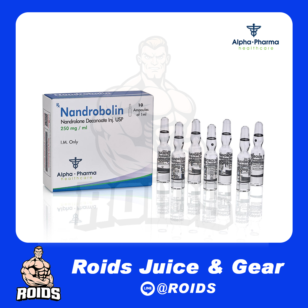 NANDROBOLIN 250 NANDROLONE DECANOATE 250 mg