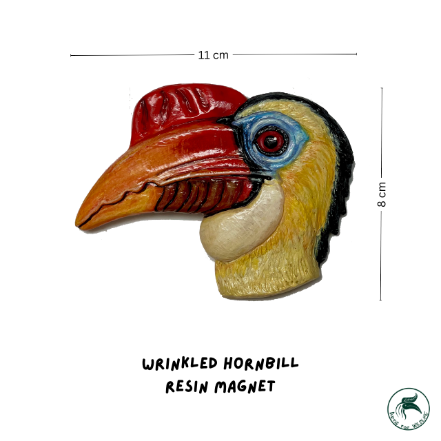 Resin Magnet Wrinkled Hornbill นกเงือกปากย่น