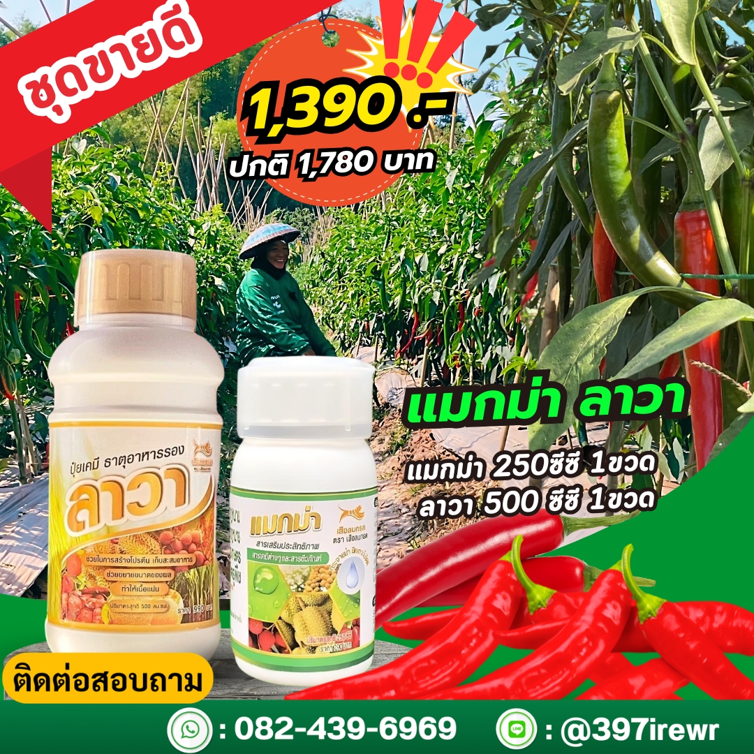 แมกม่าลาวา(ชุดเล็ก)ส่งฟรี แมกม่าช่วยเพิ่มประสิทธิภาพยาเคมี ลาวาขั้วเหนียว ขยายผล ผลสมบูรณ์