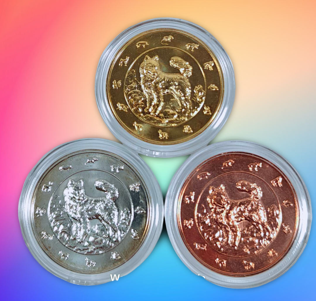 เหรียญที่ระลึกปฏิทิน (ปีจอ) พ.ศ. 2561 ชุบทอง - ชุบเงิน- ชุบทองแดง