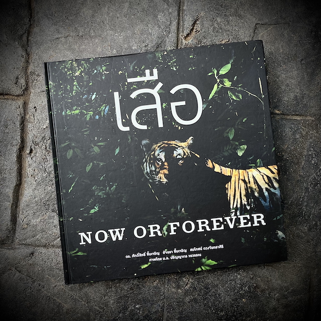เสือ TIGER NOW OR FOREVER