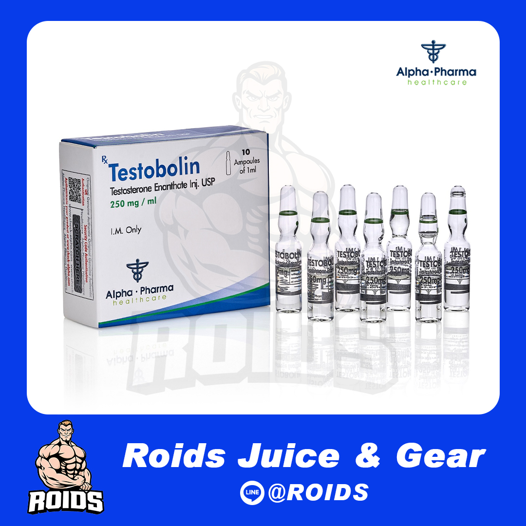 TESTOBOLIN TESTOSTERONE ENANTHATE 250 mg