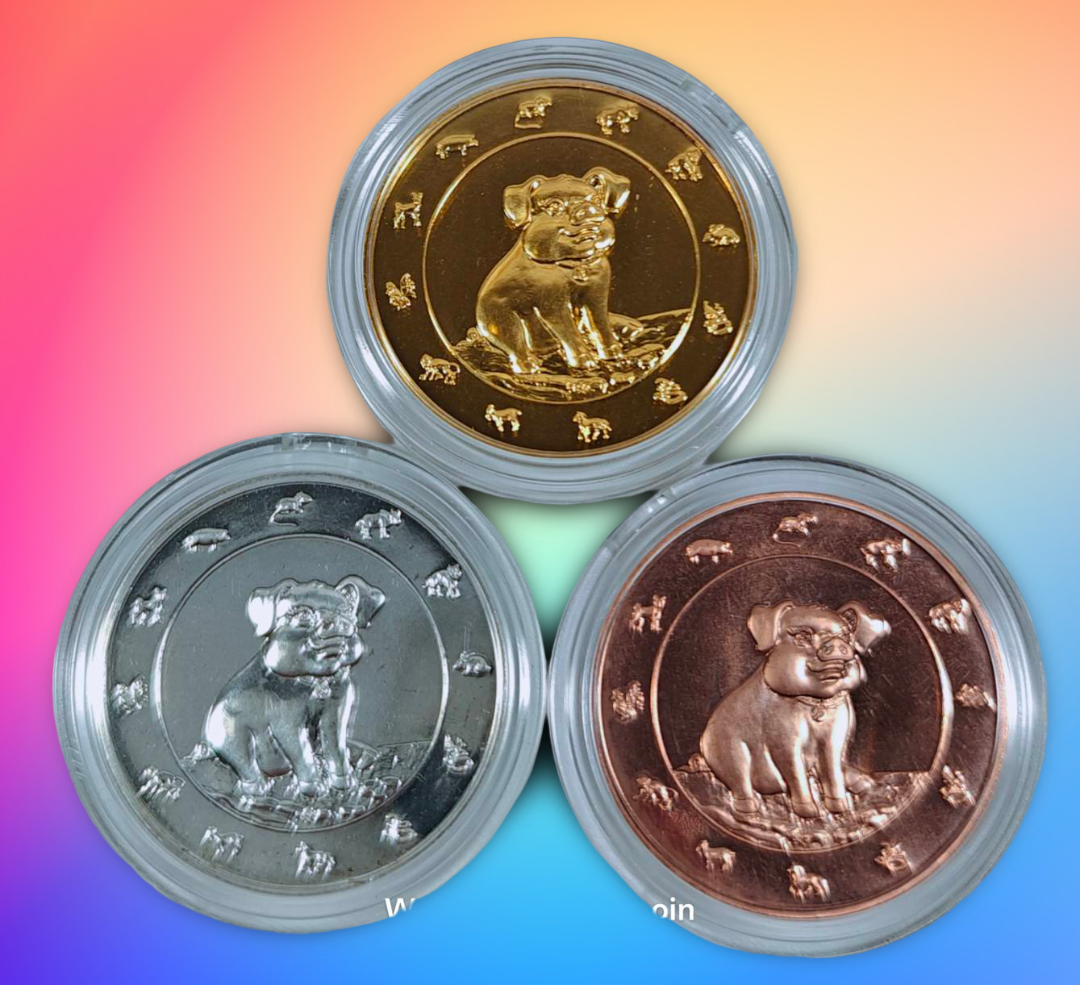 เหรียญที่ระลึกปฏิทิน (ปีกุน) พ.ศ. 2562 ชุบทอง - ชุบเงิน- ชุบทองแดง