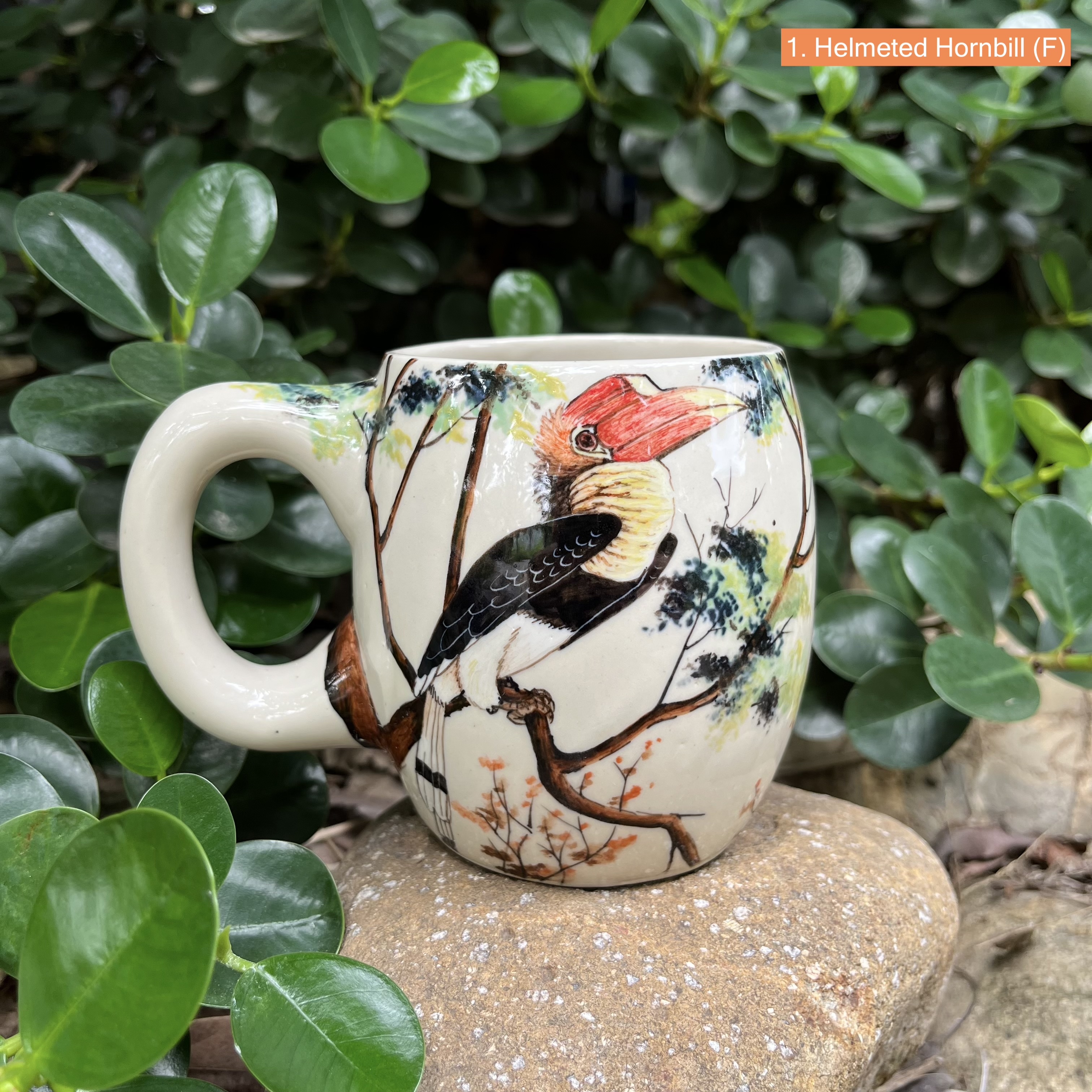 แก้วเซรามิก นกเงือก Hornbill Ceramic Mug บ้านรอตันบาตู