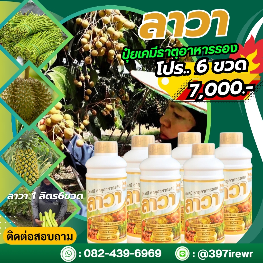 ลาวา 6ขวด 6ลิตร ลาวาปุ๋ยน้ำทางใบ ธาตุอาหารรอง ใช้ได้กับพืชผักทุกชนิด สูตรเร่งการเจริญเติบโต เร่งดอก เร่งผล