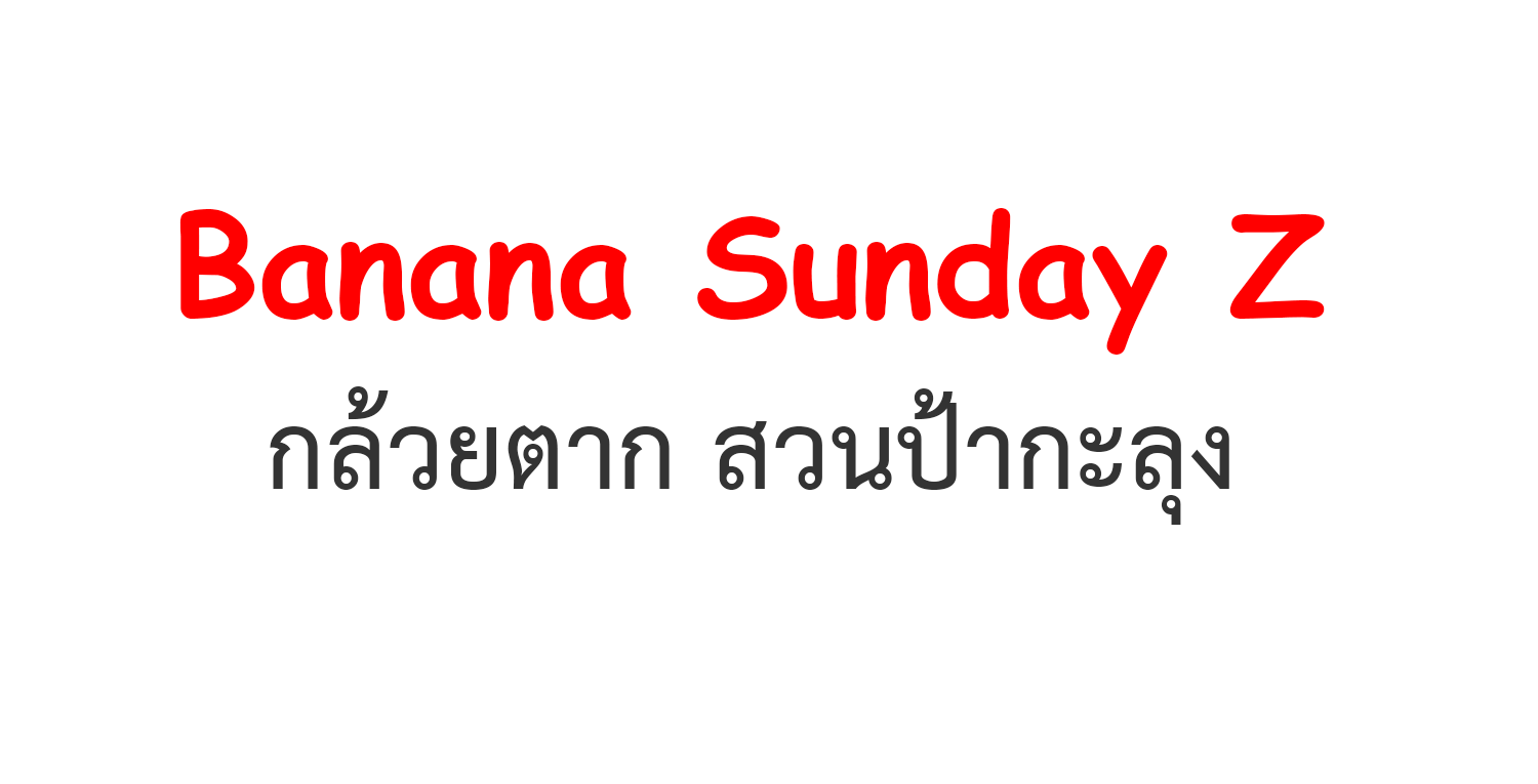 Banana Sunday Z : กล้วยตากสวนป้ากะลุง