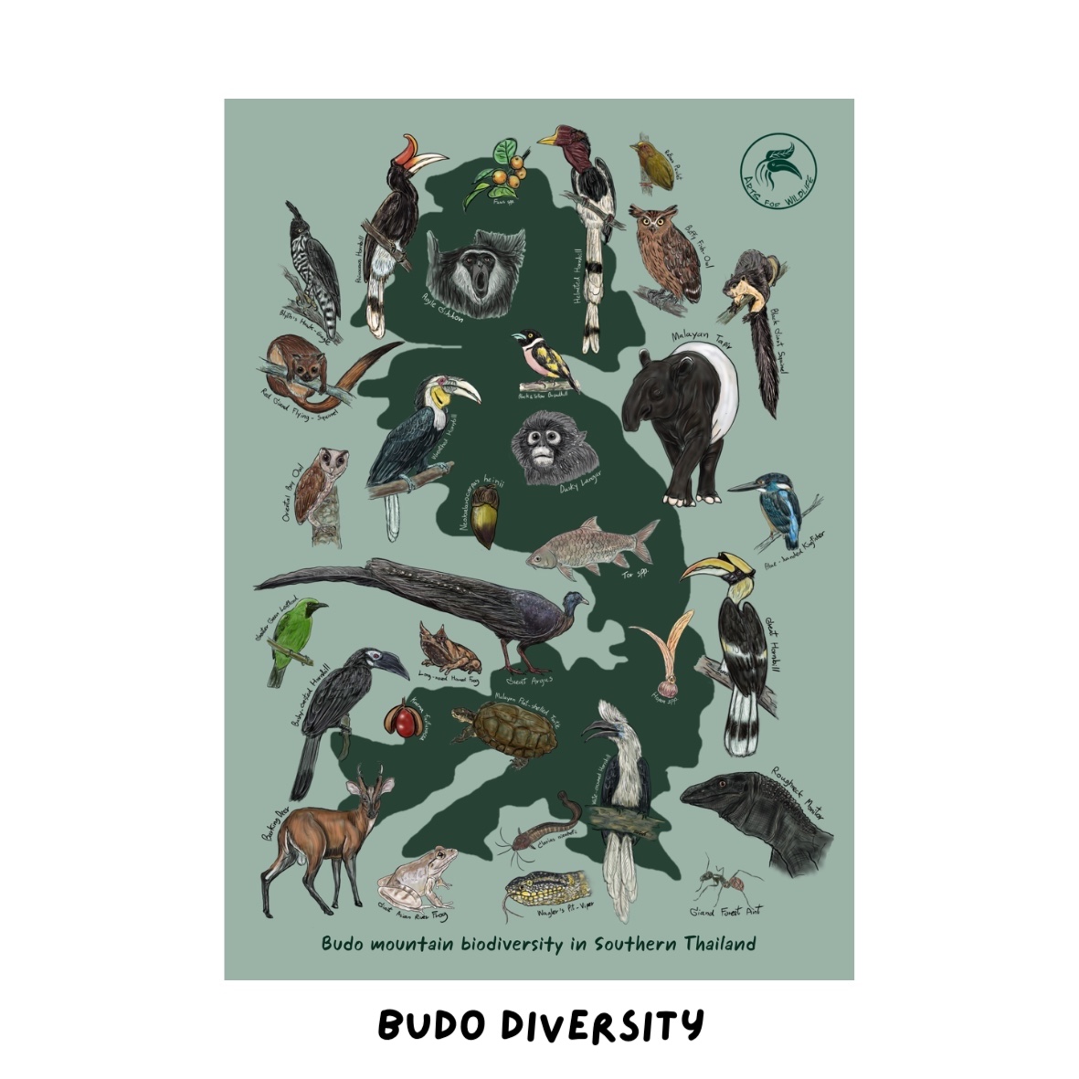 Budo Collection Postcard