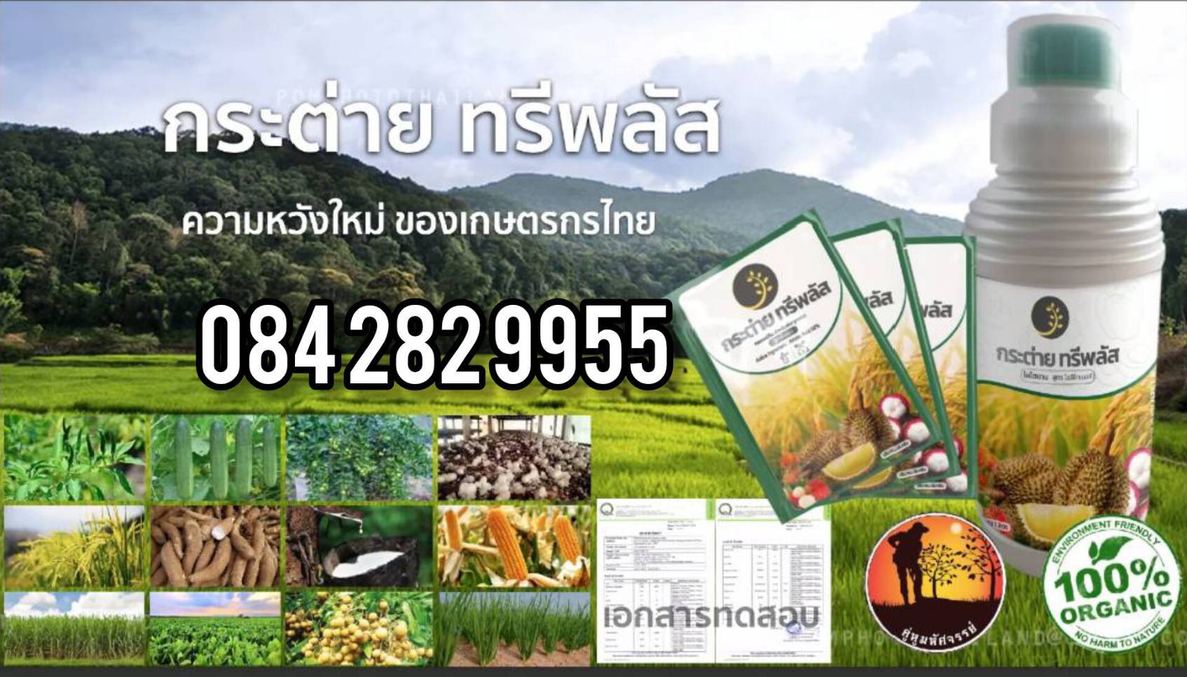 ไคโตซานน้ำสูตรดั้งเดิม กระต่าย ทรีพลัส ทุเรียนลูกติดดีโตไว ลูกดก ลดต้นทุนเพิ่มผลผลิต