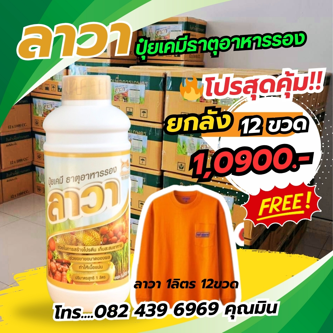 ส่งฟรี มีปลายทาง ลาวา ยกลัง 12 ขวด ลาวา ปุ่ยน้ำทางใบ ธาตุอาหารรอง ใช้ได้กับพืชผักทุกชนิด สูตรเร่งการเจริญเติบโต เร่งดอก เร่งผล