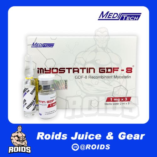 MYOSTATIN GDF-8 Recombinant Myostatin 1 mg x 3