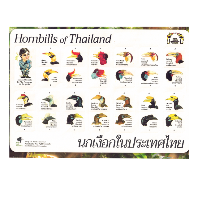 สติกเกอร์นกเงือกในประเทศไทย