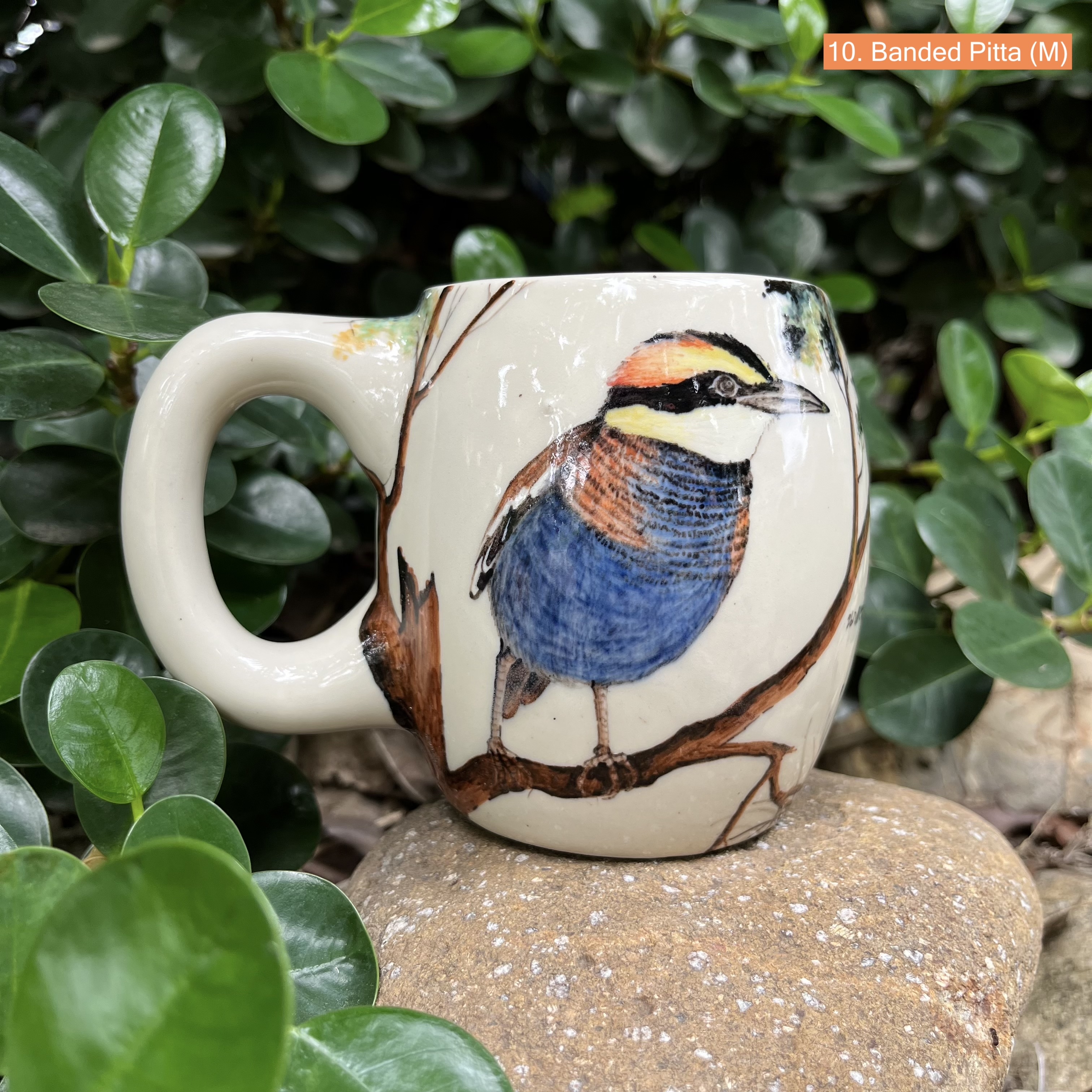 แก้วเซรามิก Pitta Ceramic Mug บ้านรอตันบาตู