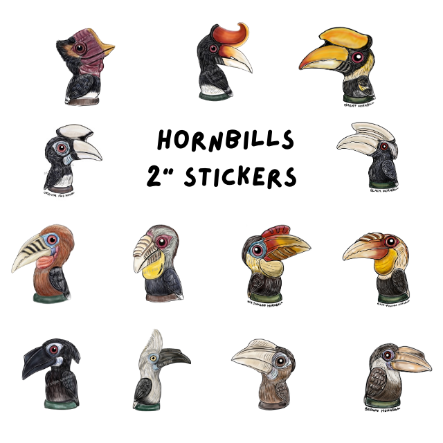 Hornbill Stickers 2 inches