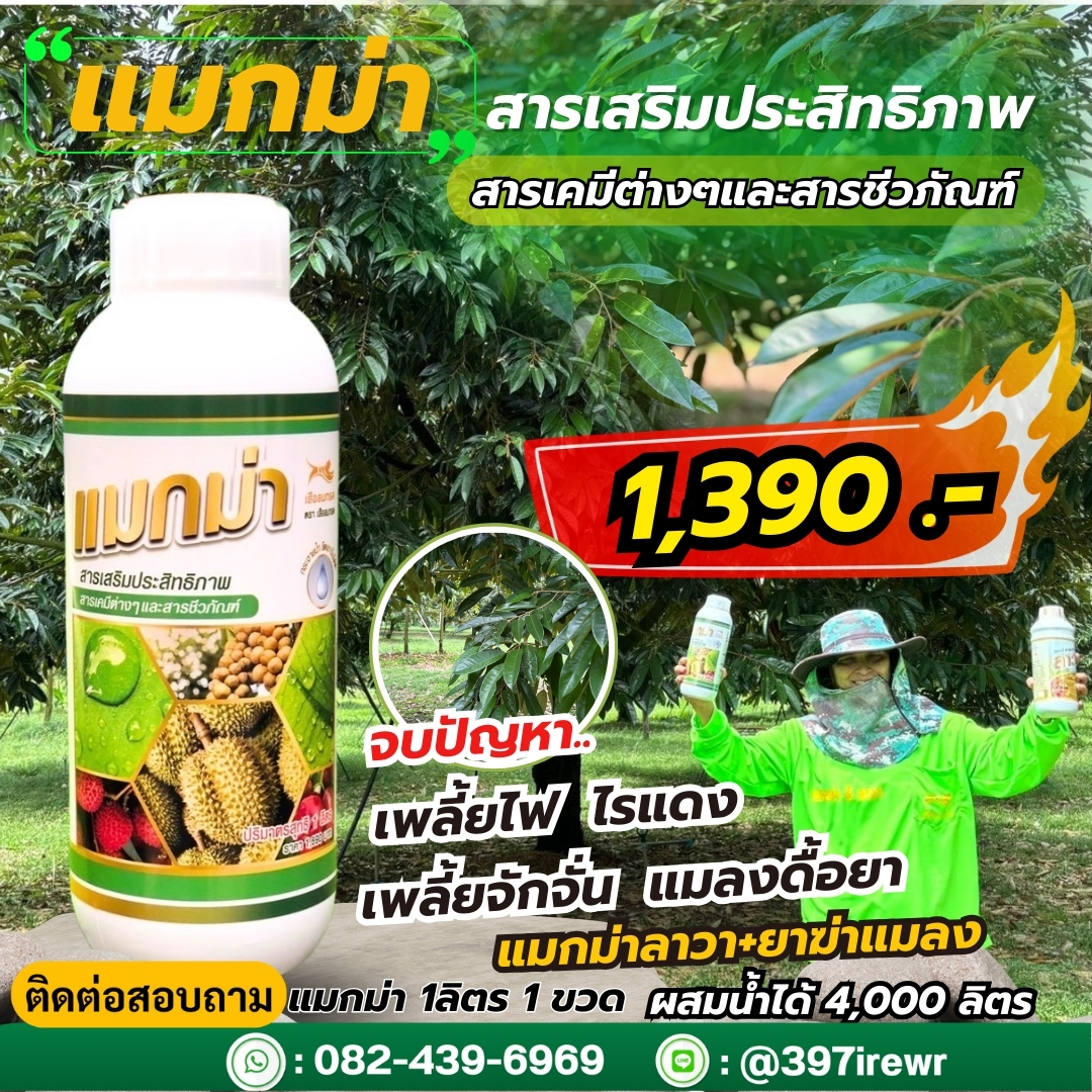 แมกม่า maxma สารเสริมประสิทธิภาพ จับใบ ช่วยยึดเกาะที่ใบ ขนาด 1ลิตร ผสมน้ำได้ 4000 ลิตร