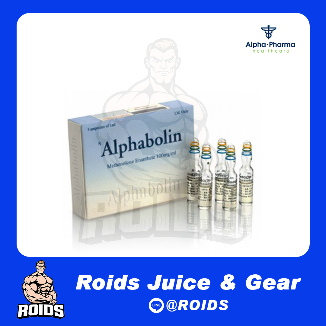 ALPHABOLIN METHENOLONE ENANTHATE 100 mg (กำลังปรับปรุงราคา)