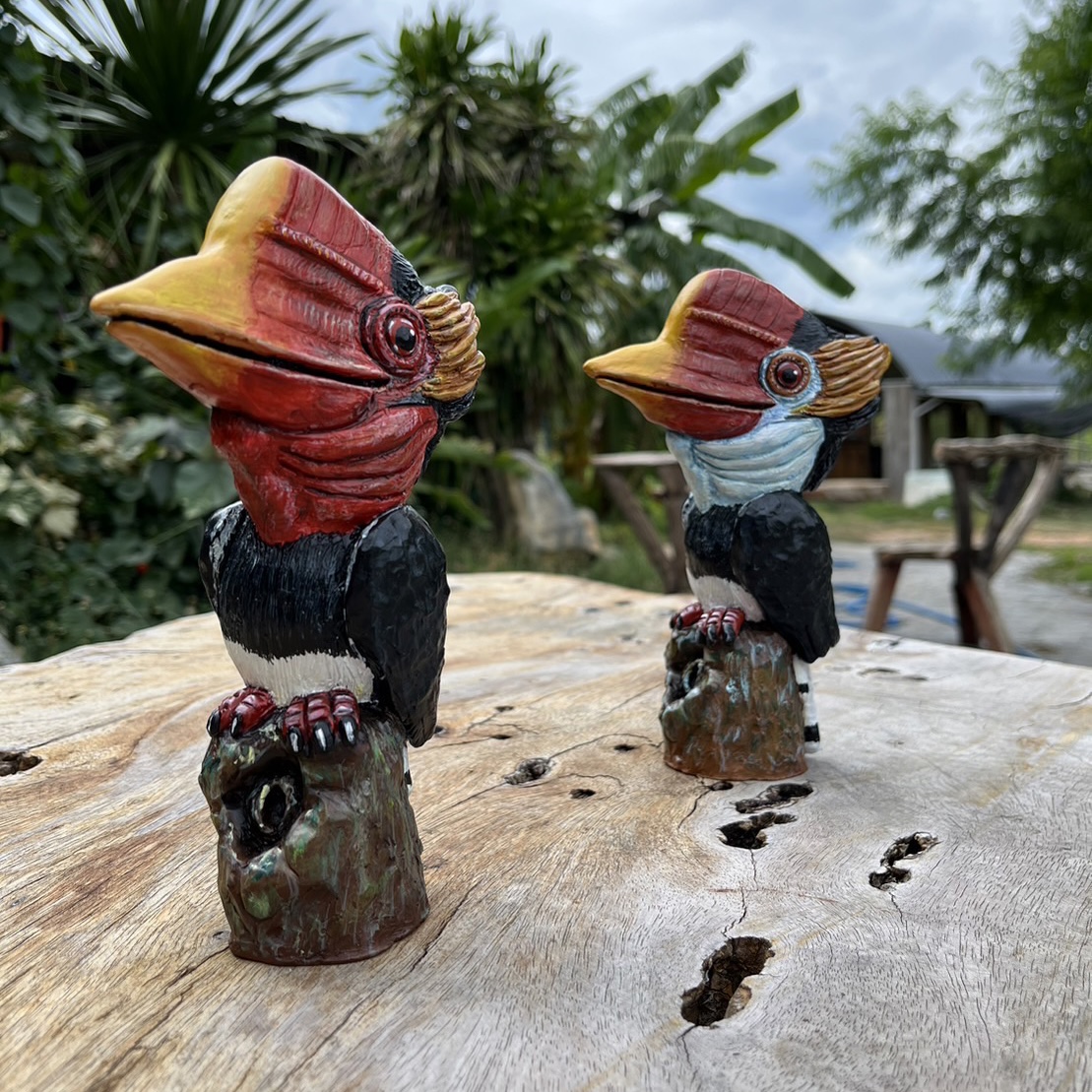 [Pre-order] HELP ME TED HORNBILL Sculpture โมเดล รูปปั้น นกชนหิน