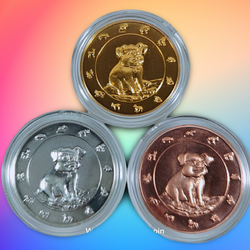 เหรียญที่ระลึกปฏิทิน (ปีกุน) พ.ศ. 2562 ชุบทอง - ชุบเงิน- ชุบทองแดง
