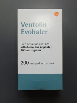 Ventoline (salbutamol) inheler 200 doses